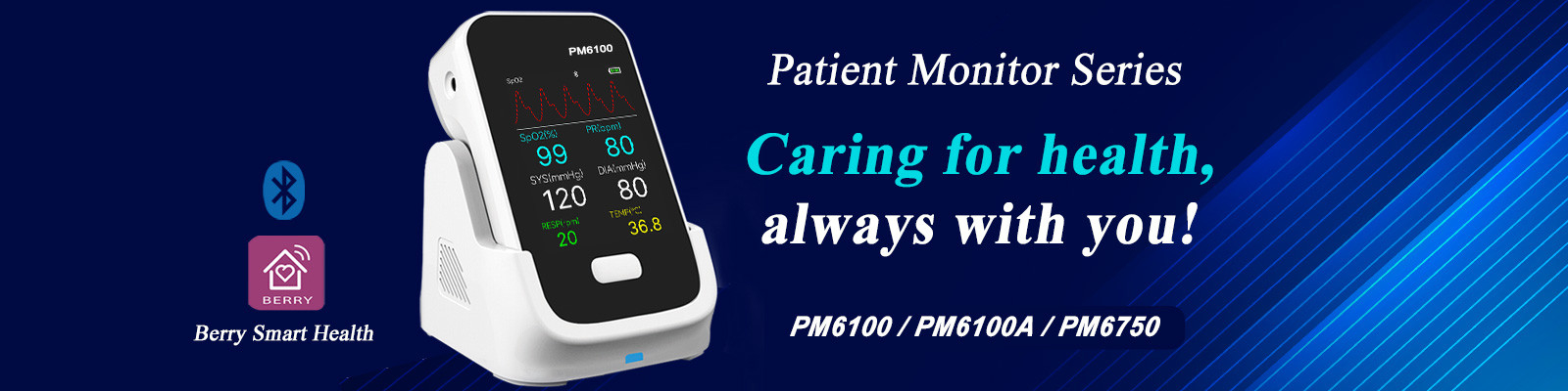 Handheld Pulse Oximeter