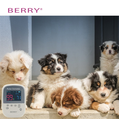 Veterinary Oximeter Spo2 Monitor With TFT LCD Screen For Monitoring And Diagnosis