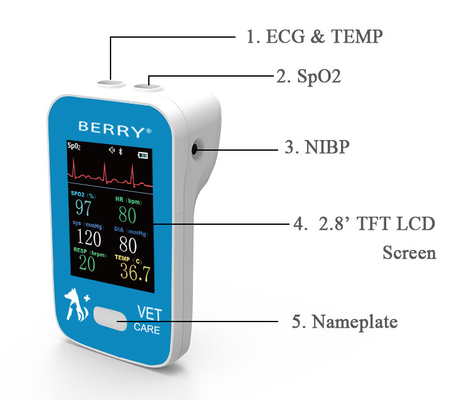 PR ECG TEMP SpO2 NIBP High Quality  6 parameters veterinary vital signs monitor animal use monitoring machine