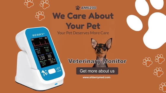 DC 12V Veterinary Care Monitor with Storage Temperature-20°C~60°C and Operating Temperature0°C~40°C
