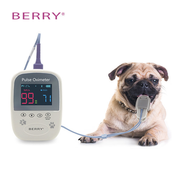 Vital Sign Testing Veterinary Handheld Pulse Oximeter Class II