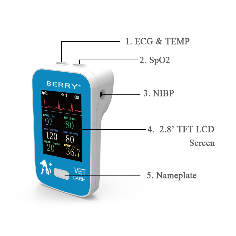 Veterinary Monitor AM6200 145*85*37mm ≤20W Power Consumption